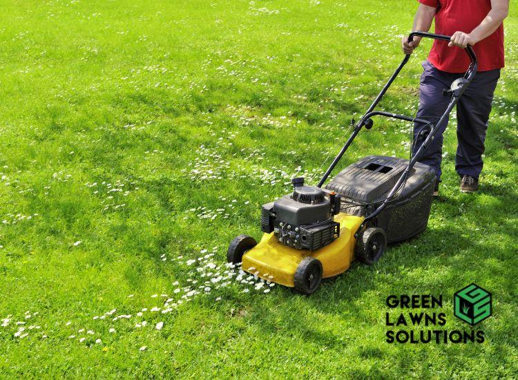 Beyond the Blades: The Comprehensive Approach to Lawn Mowing Services with Green Lawns Solutions